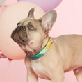 Load image into Gallery viewer, Over the Rainbow Dog Collar