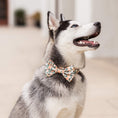 Load image into Gallery viewer, Peaches and Cream Dog Bow Tie
