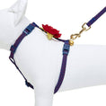 Load image into Gallery viewer, Diagonal Striped Cat Leash & Harness Set