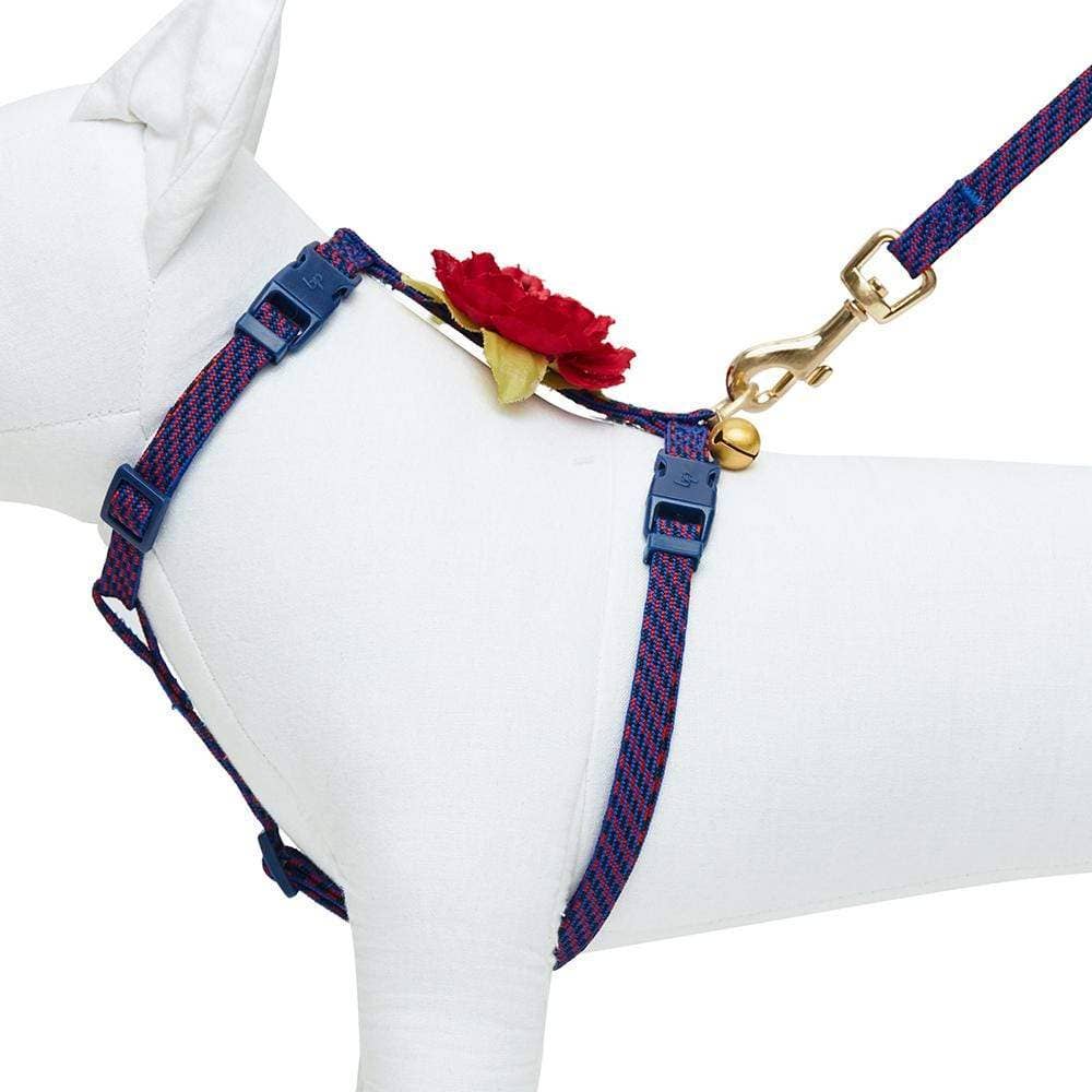 Diagonal Striped Cat Leash & Harness Set