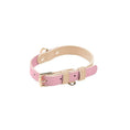 Load image into Gallery viewer, Loofie Leather Dog Collar