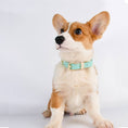 Load image into Gallery viewer, Loofie Leather Dog Collar
