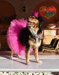 Load image into Gallery viewer, PARTY BEAST CROWN