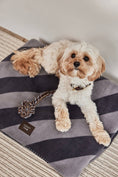 Load image into Gallery viewer, Kaya Dog Blanket - Large