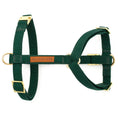 Load image into Gallery viewer, Evergreen Dog Harness