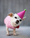 Load image into Gallery viewer, Pawty Birthday Hats