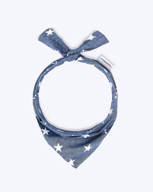 Starry Night Bandana