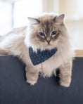 Load image into Gallery viewer, POLKA DOT BANDANA