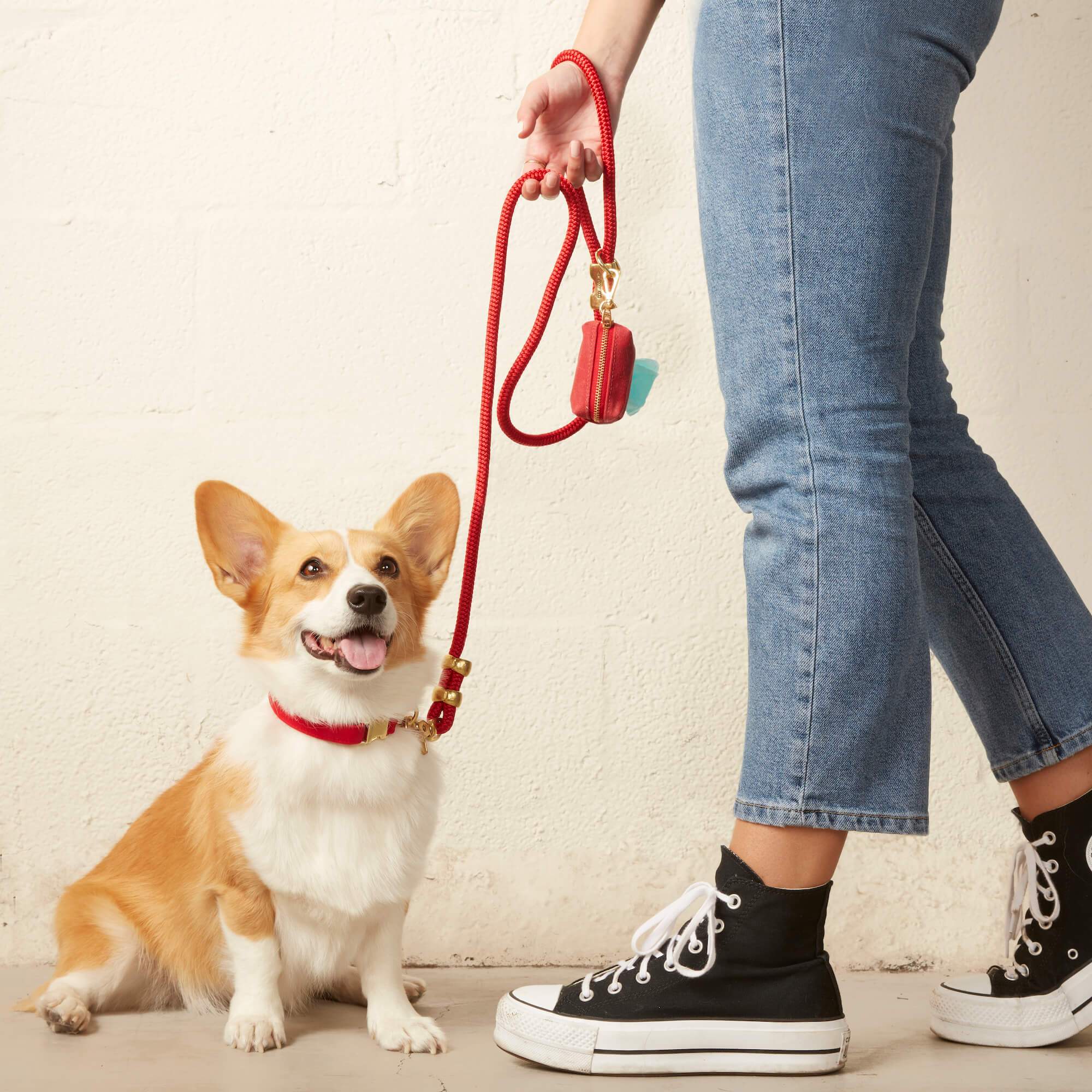 Ruby Day Dog Collar