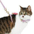 Load image into Gallery viewer, Diagonal Striped Cat Leash & Harness Set