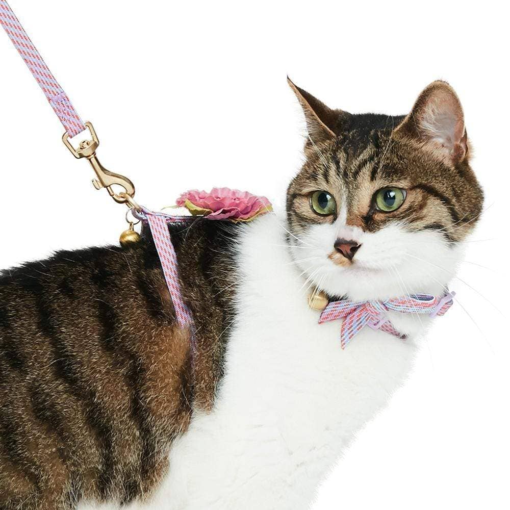 Diagonal Striped Cat Leash & Harness Set