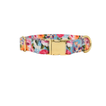 Load image into Gallery viewer, Emery Dog Collar