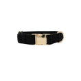 Load image into Gallery viewer, Ryan Dog Collar