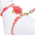 Load image into Gallery viewer, Diagonal Striped Cat Leash & Harness Set