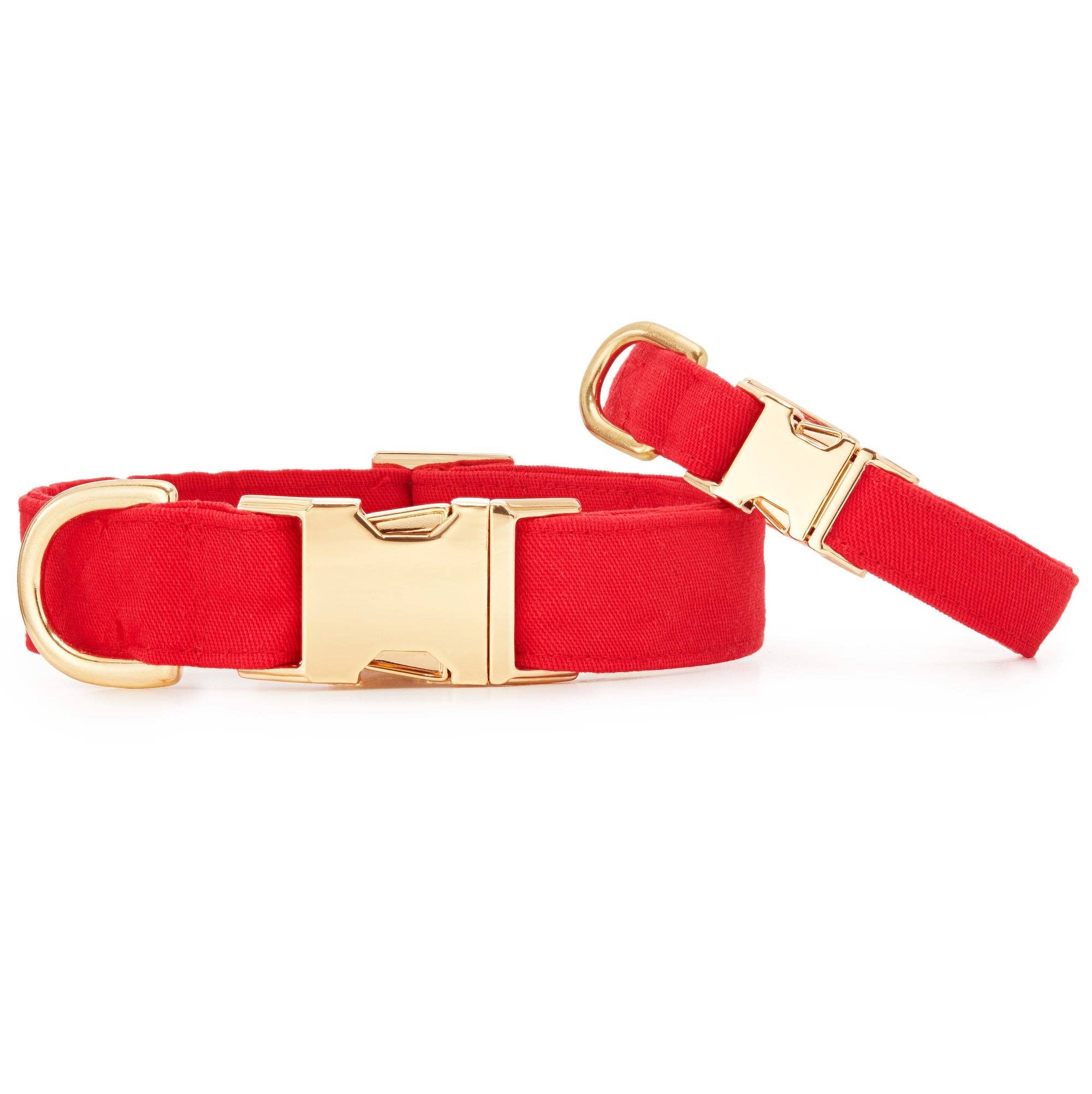Ruby Day Dog Collar