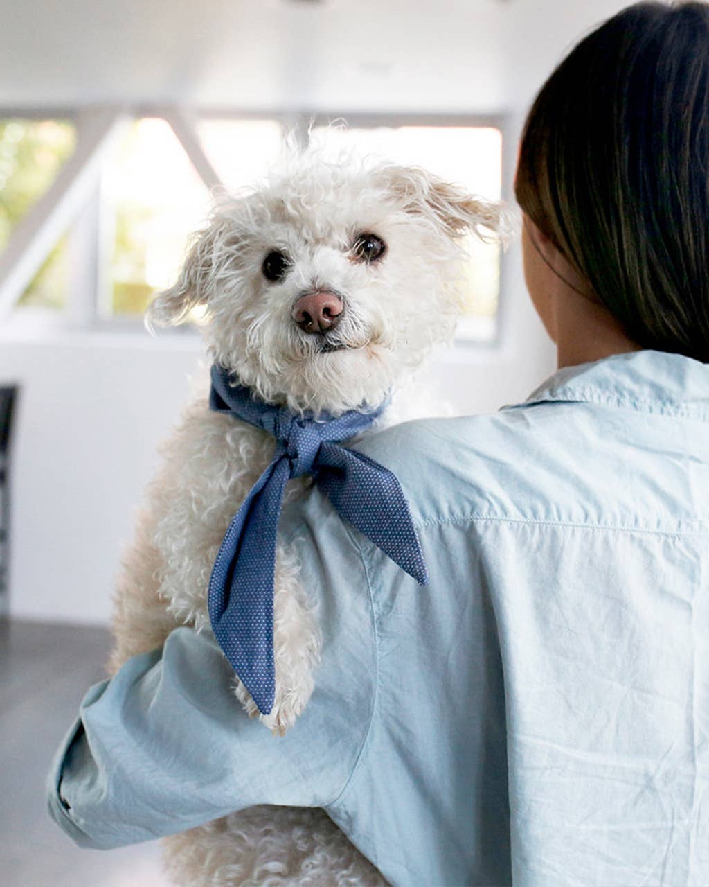 POLKA DOT NECKTIES