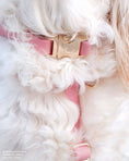 Load image into Gallery viewer, Perfect Pink Waterproof Dog Collar