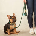 Load image into Gallery viewer, Evergreen Dog Collar
