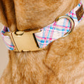 Load image into Gallery viewer, Whitley Plaid Dog Collar