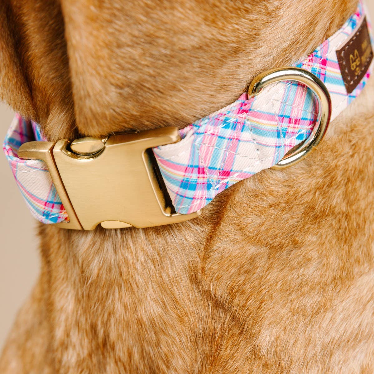 Whitley Plaid Dog Collar