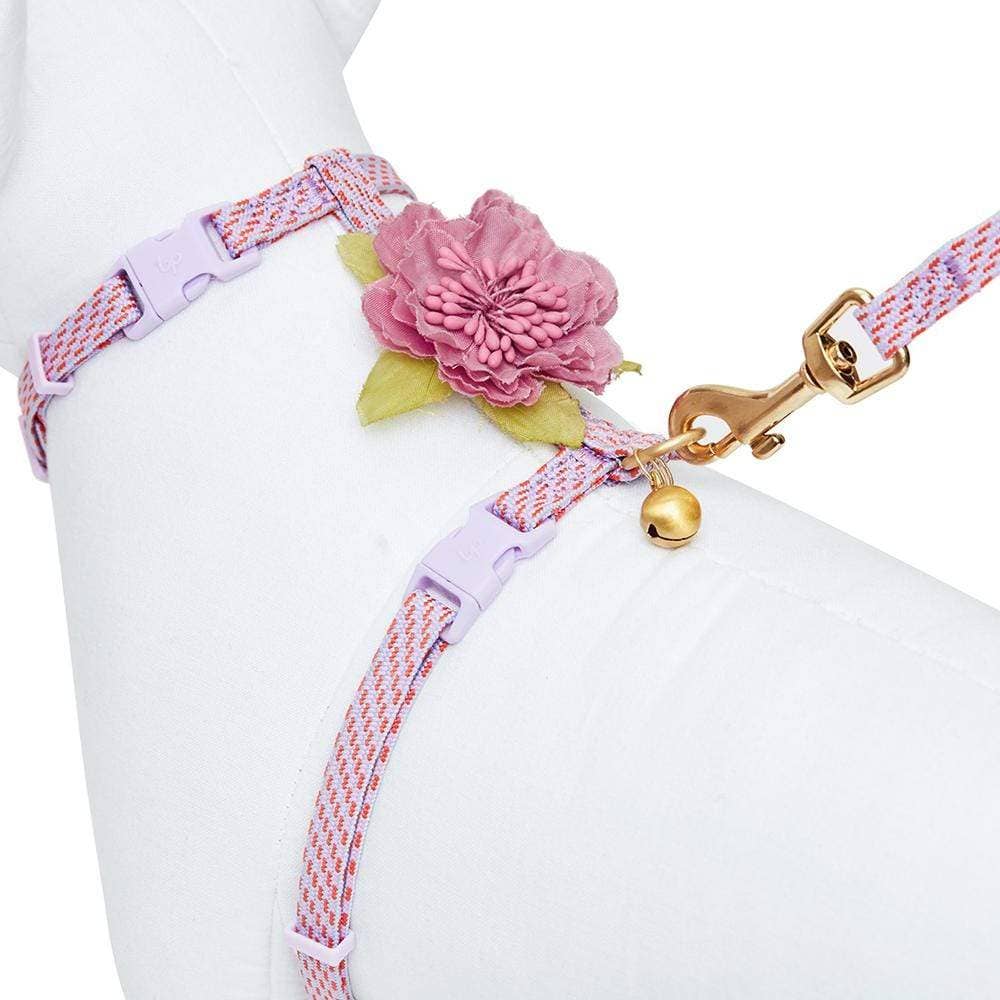 Diagonal Striped Cat Leash & Harness Set