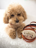 Load image into Gallery viewer, Ainsley Vegan Leather Dog Leash