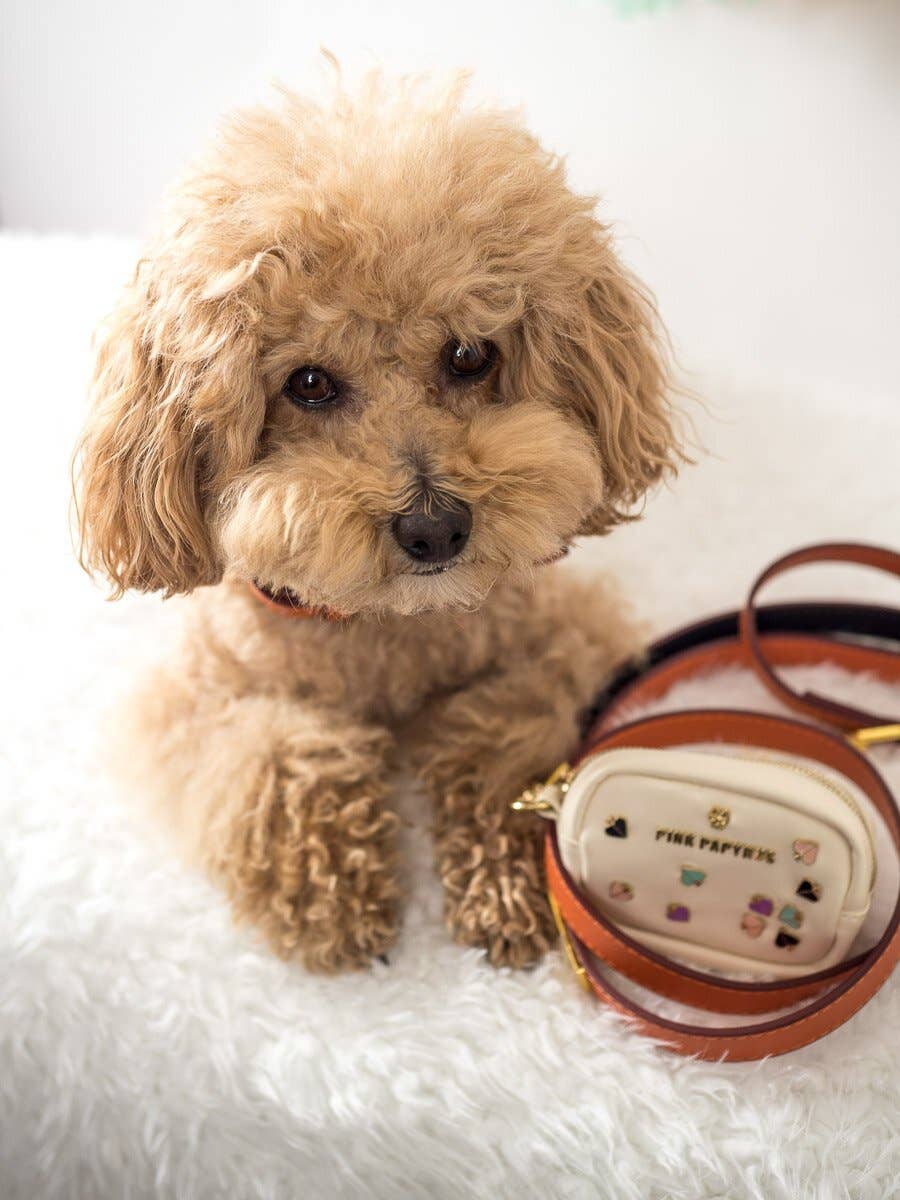 Ainsley Vegan Leather Dog Leash