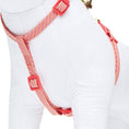 Load image into Gallery viewer, Diagonal Striped Cat Leash & Harness Set