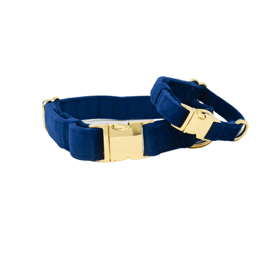 Channing Dog Collar