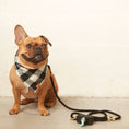 Load image into Gallery viewer, Onyx Waxed Canvas Poop Bag Dispenser