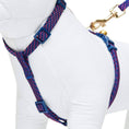 Load image into Gallery viewer, Diagonal Striped Cat Leash & Harness Set