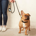 Load image into Gallery viewer, Onyx Marine Rope Dog Leash