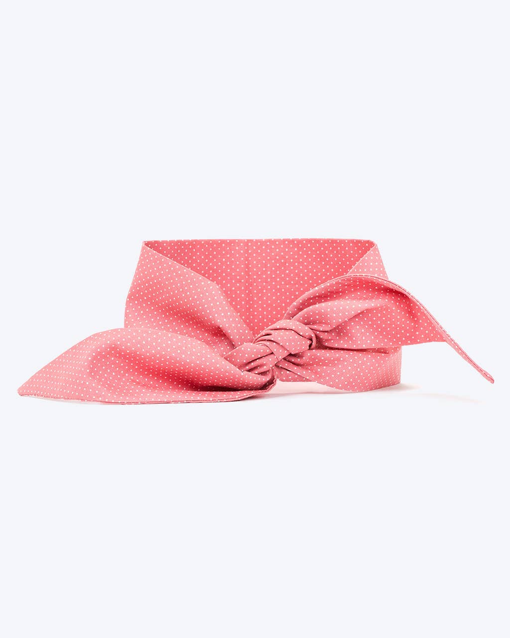 POLKA DOT NECKTIES
