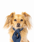 Load image into Gallery viewer, POLKA DOT NECKTIES