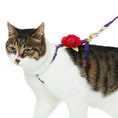 Load image into Gallery viewer, Diagonal Striped Cat Leash & Harness Set