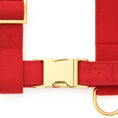 Load image into Gallery viewer, Ruby Dog Harness
