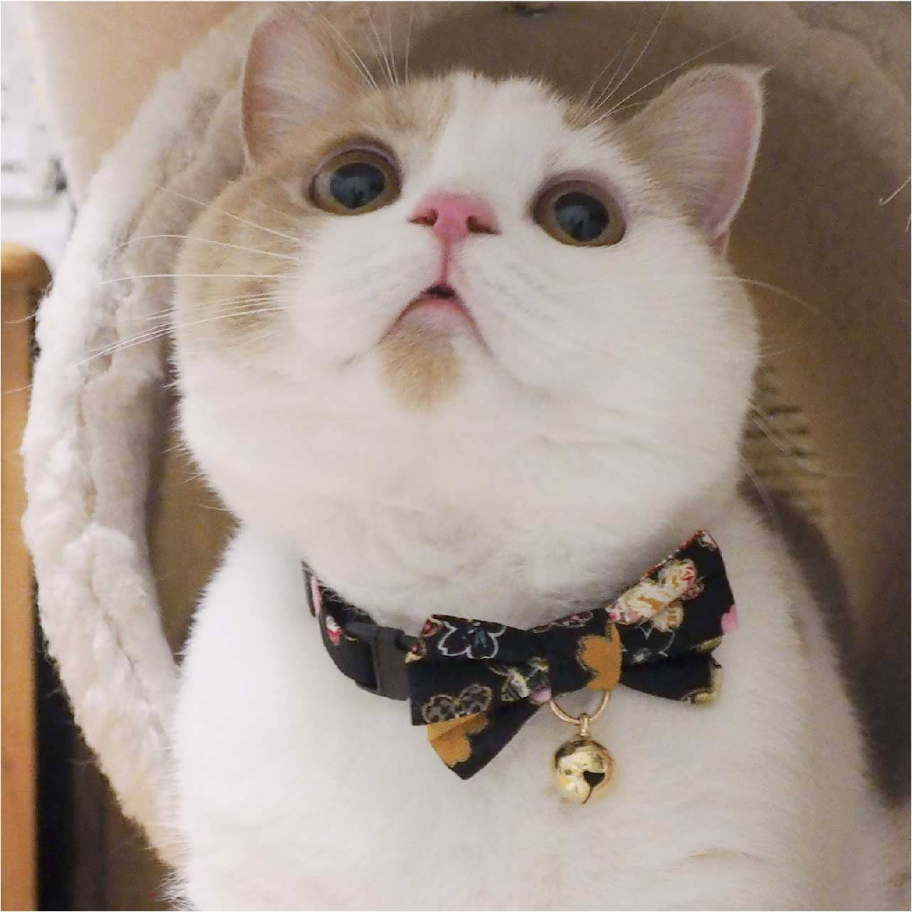 Kimono Bow Tie Cat Collar