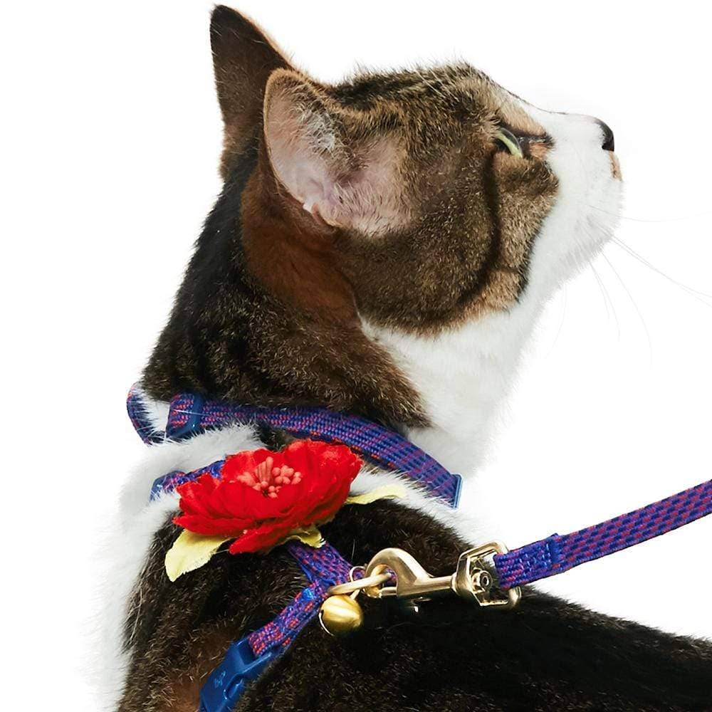 Diagonal Striped Cat Leash & Harness Set