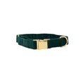 Load image into Gallery viewer, Rue Dog Collar
