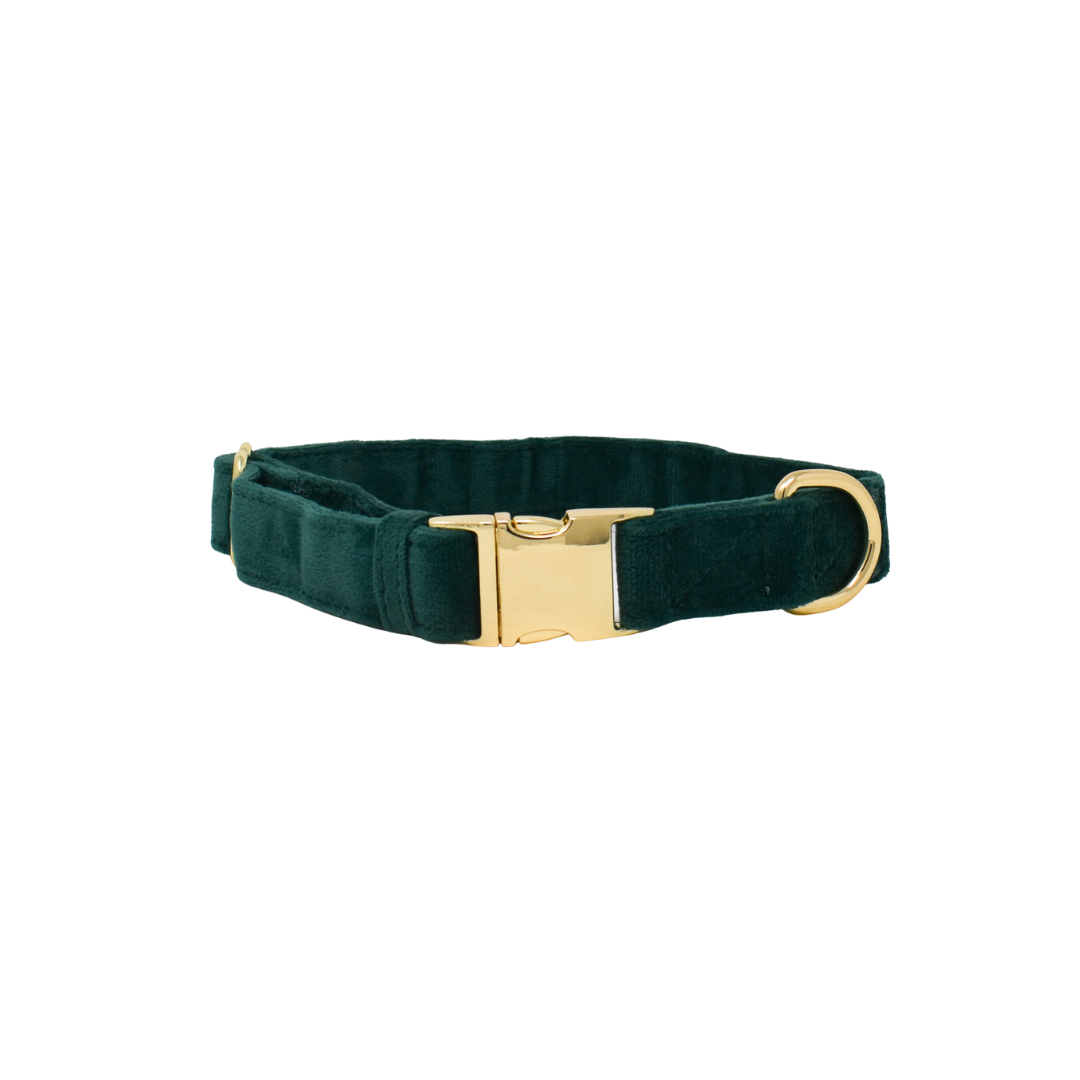 Rue Dog Collar