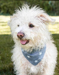 Load image into Gallery viewer, Starry Night Bandana