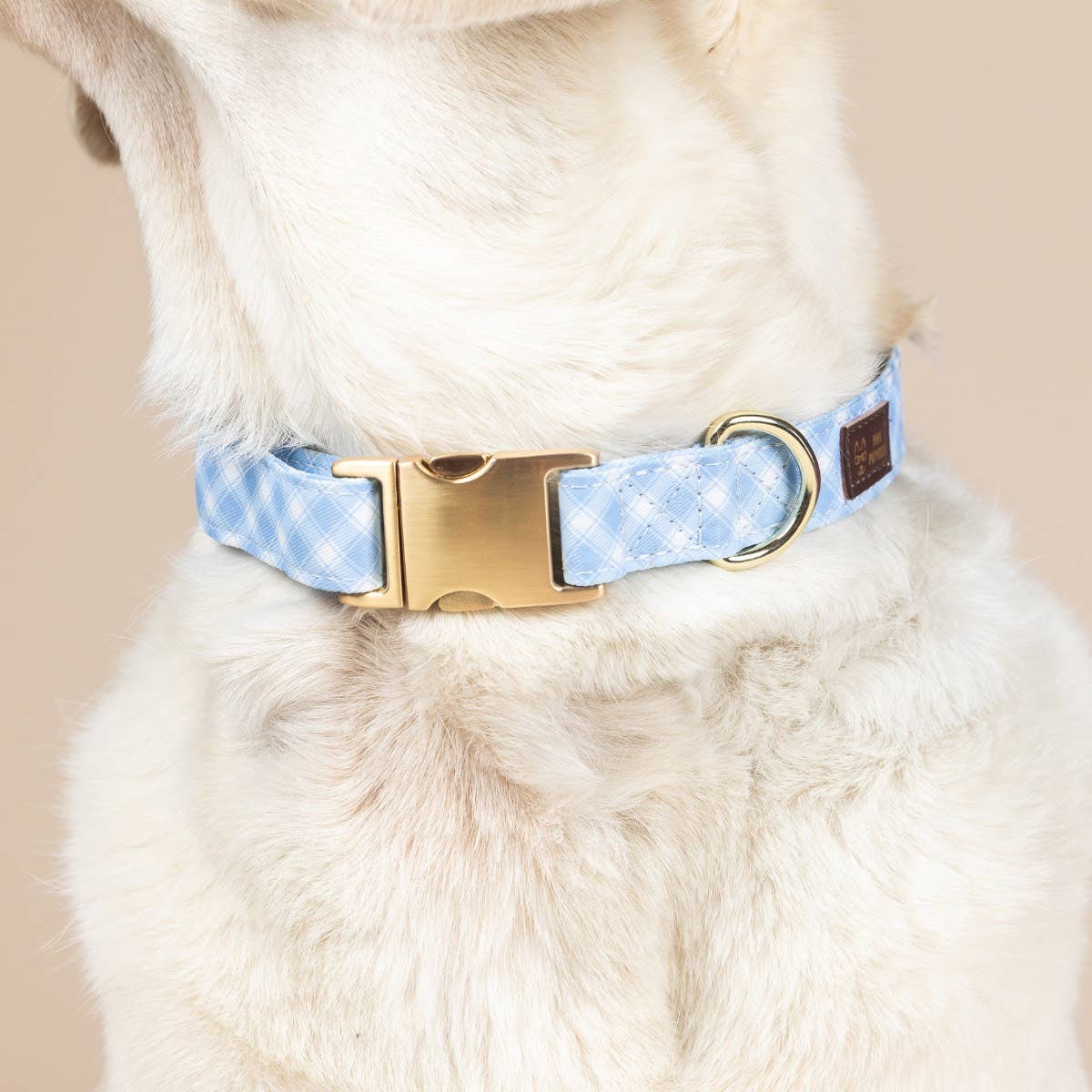 Rory Blue Gingham Dog Collar
