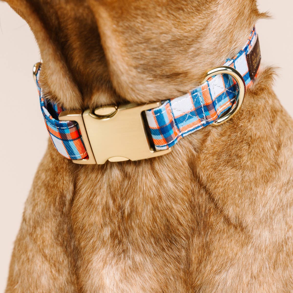Ringo Plaid Dog Collar