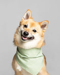 Load image into Gallery viewer, POLKA DOT BANDANA