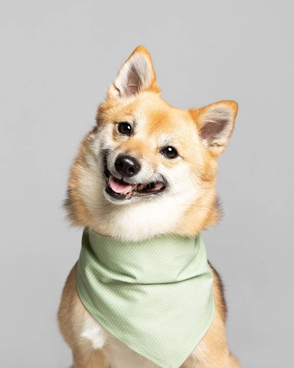 POLKA DOT BANDANA
