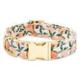 Load image into Gallery viewer, Peaches and Cream Dog Collar
