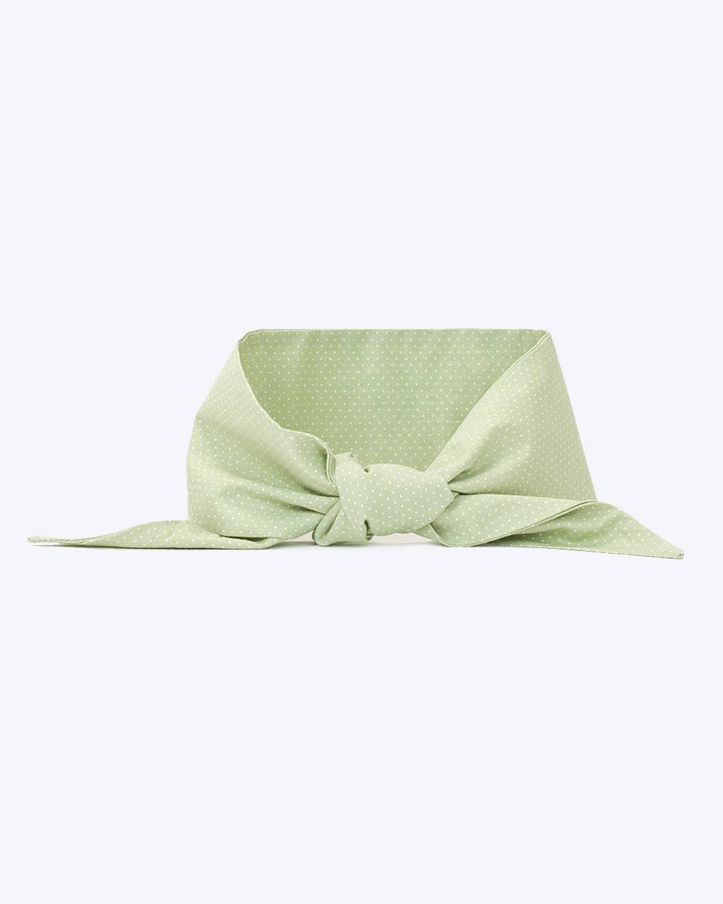 POLKA DOT NECKTIES