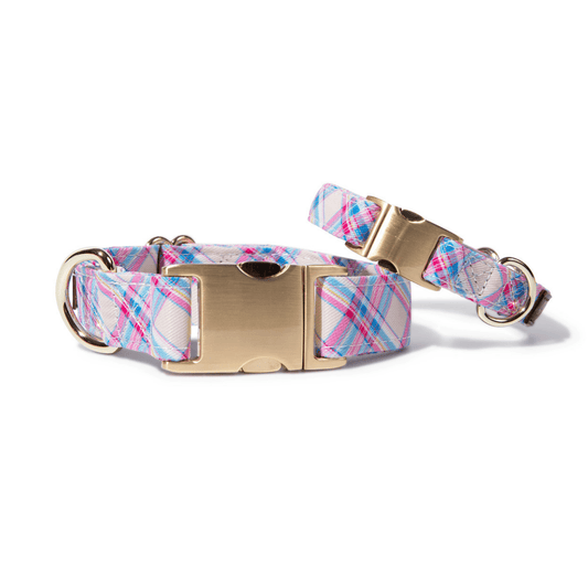 Whitley Plaid Dog Collar