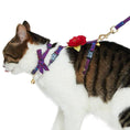 Load image into Gallery viewer, Diagonal Striped Cat Leash & Harness Set