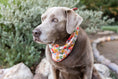 Load image into Gallery viewer, Penelope Floral Double Sided Dog Bandana